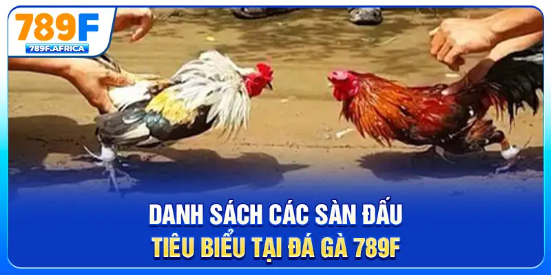 Danh sách các sàn đấu tiêu biểu tại đá gà 789F